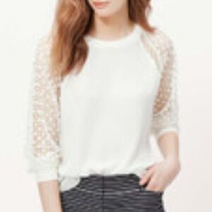 Loft Outlet Lightweight Cotton Blend Sweater with Sheer 3/4 Sleeve